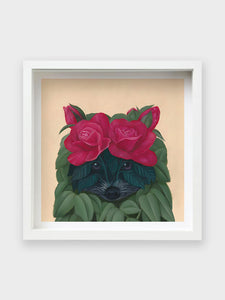 'The Rose Raccoon' Poster Print